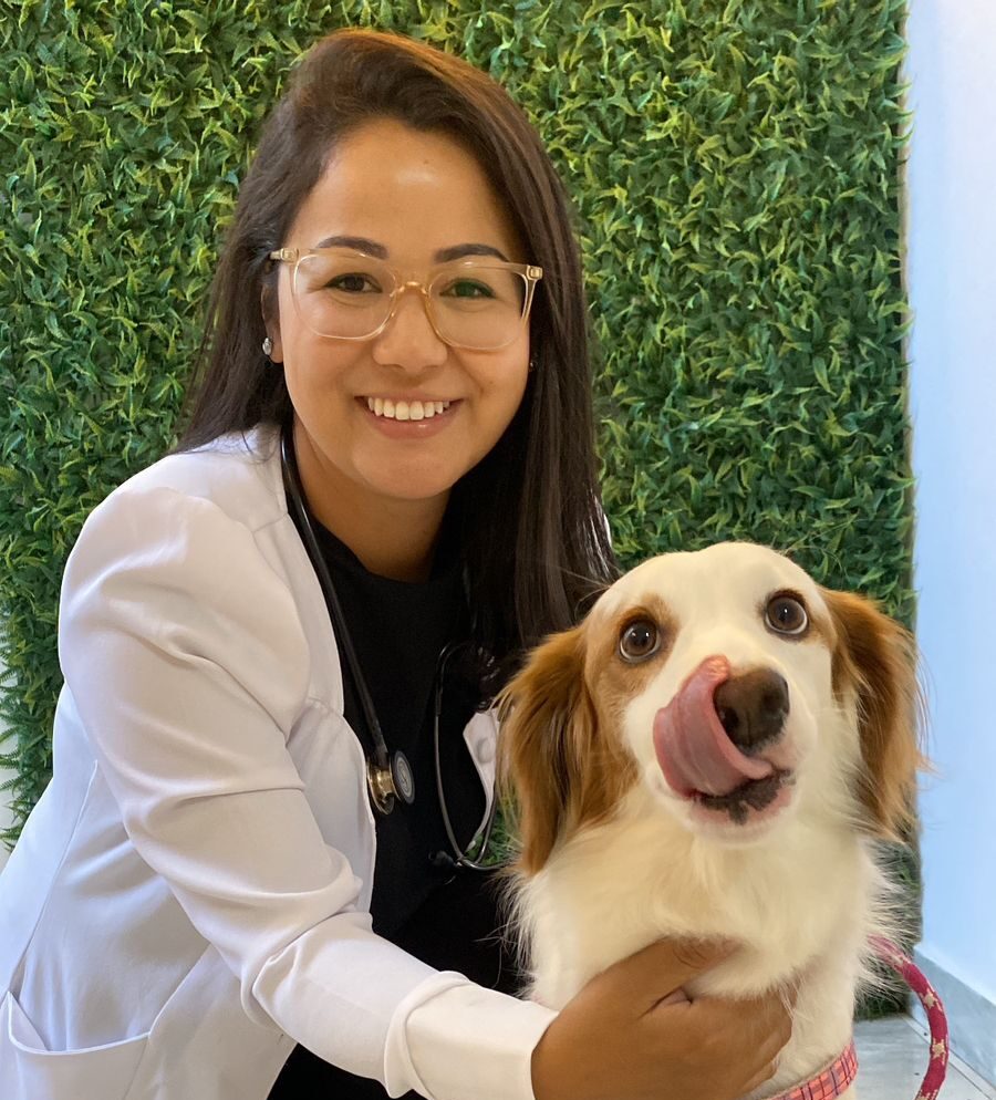 Médica veterinária Pneumologista