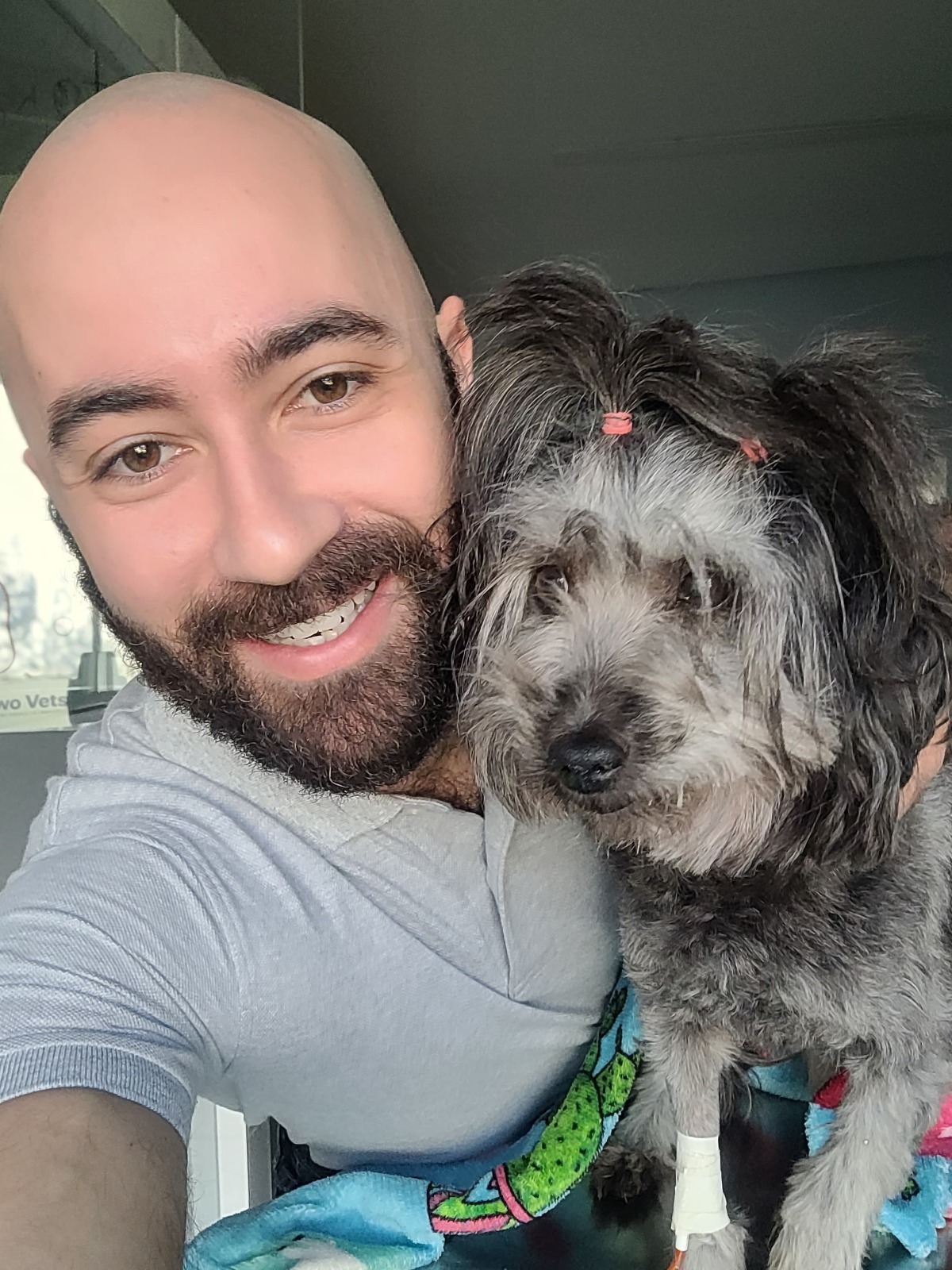 Médico veterinário Radiologista