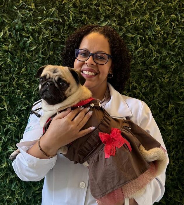 Médica Veterinária | Pneumologista Veterinária especializada em raças braquicefálicas